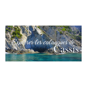 CREATOR: gd-jpeg v1.0 (using IJG JPEG v80), quality = 82